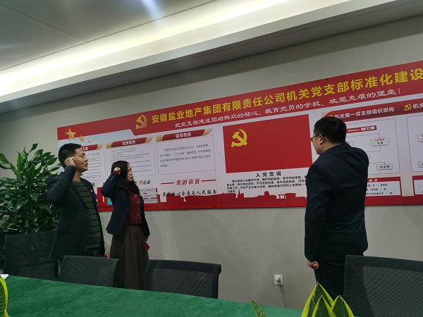 安徽鹽業地產集團機關第一黨支部開展“佩黨徽、誦誓詞、贈黨章、上黨課”黨員教育活動